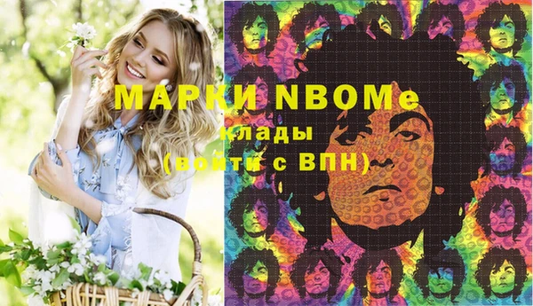 шишки Верхний Тагил