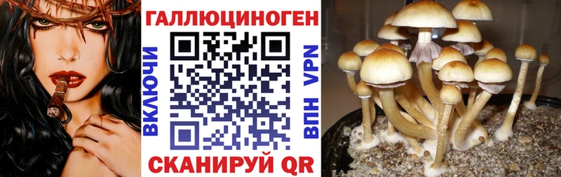 ОМГ ОМГ где купить площадка какой сайт Галлюциногенные грибы прущие грибы Канск